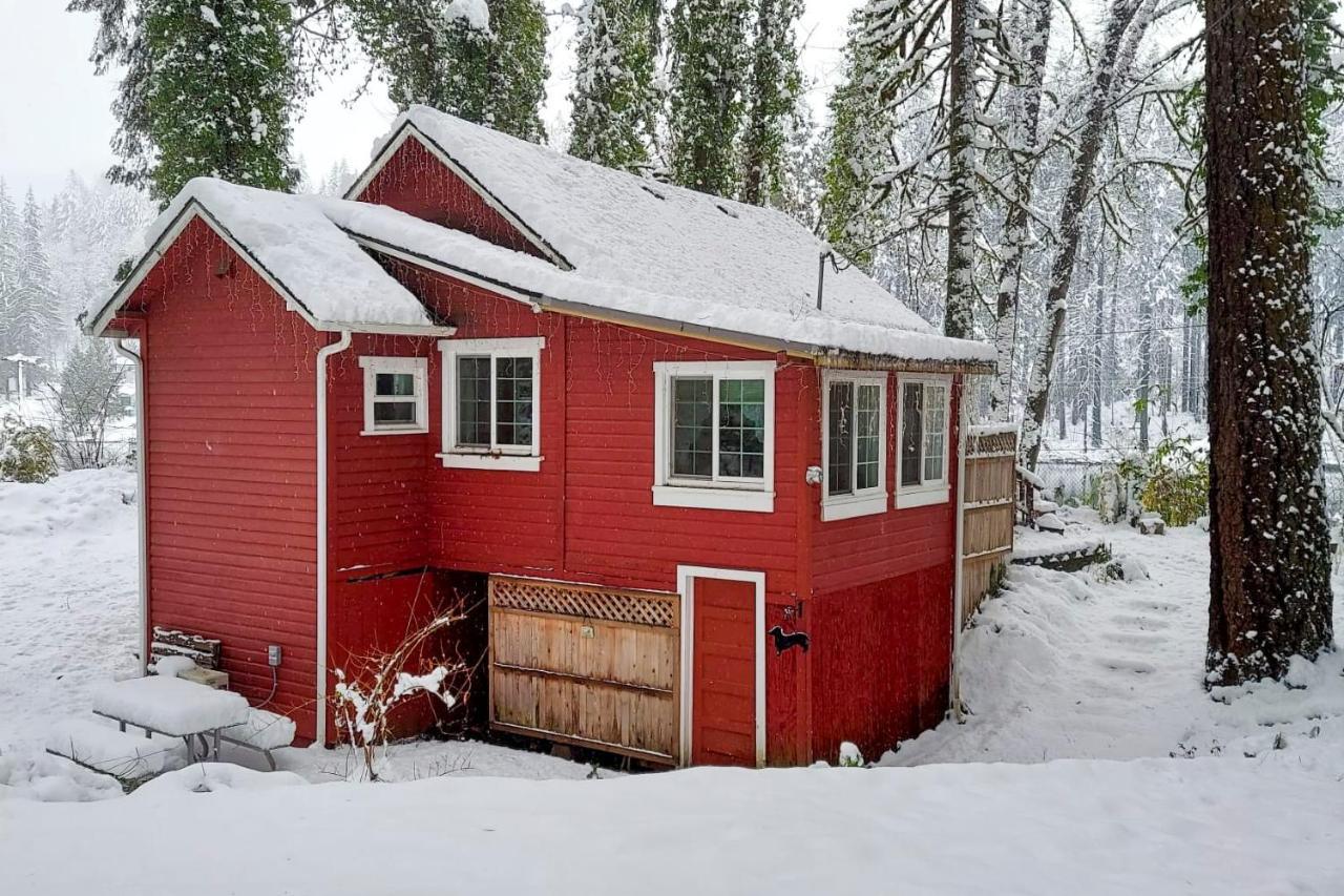 Peaceful Mckenzie River Retreat Fish, Hike, And Ski Vida Extérieur photo