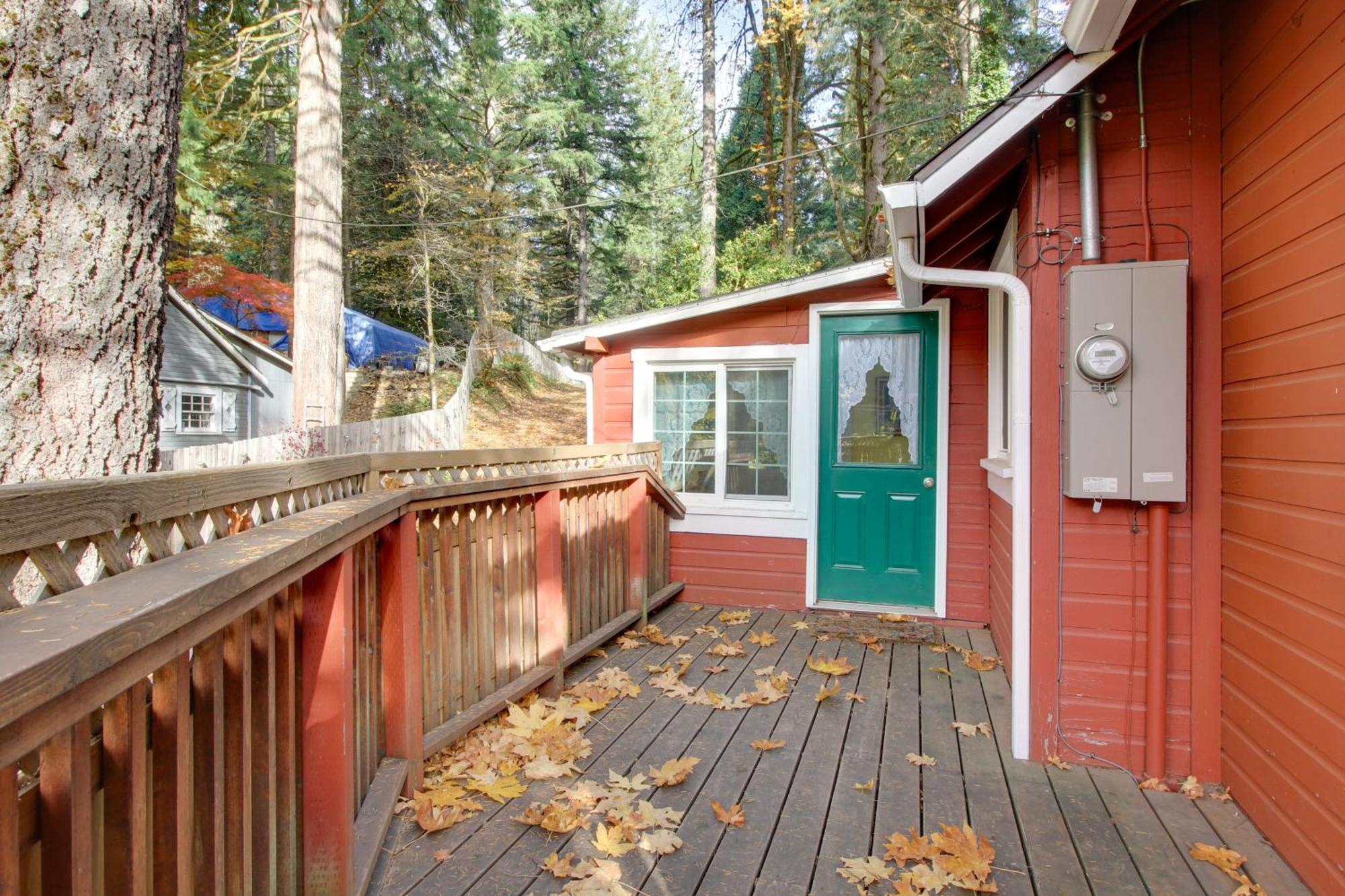 Peaceful Mckenzie River Retreat Fish, Hike, And Ski Vida Extérieur photo
